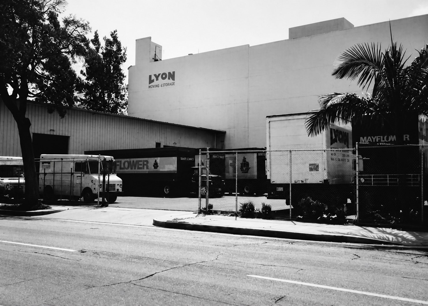 Black-and-white photograph of the Lyon Moving & Storage yard, with the company name high on the concrete flank and a line of Mayflower moving vans drawn up behind a chain-link fence.
